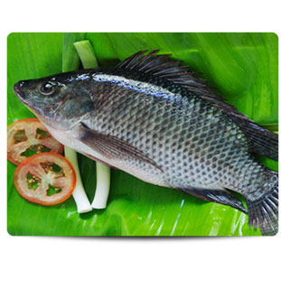 Mojarra-Congelada